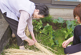 �u�m�͂�������ĕ~���́v�݂�ȂŔ��Â���