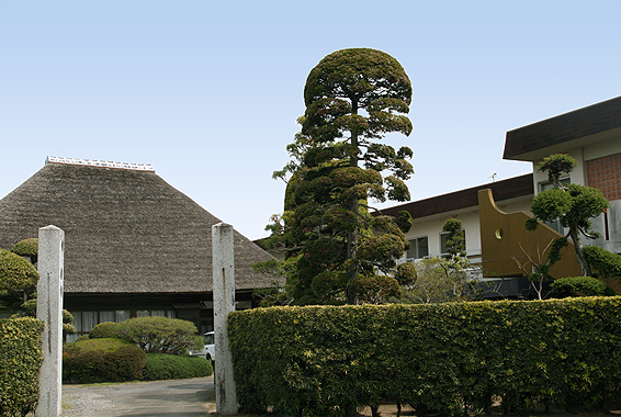 �{��V�l�z�[���ʐ^1