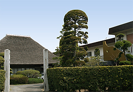 �{��V�l�z�[���ʐ^